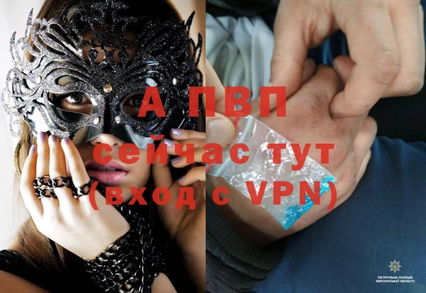 бошки Абаза