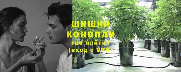 бошки Абаза