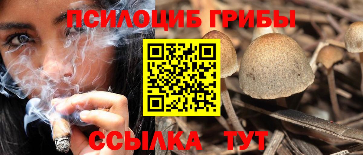 Псилоцибиновые грибы мухоморы  сколько стоит  Нефтеюганск  Вход с VPN 